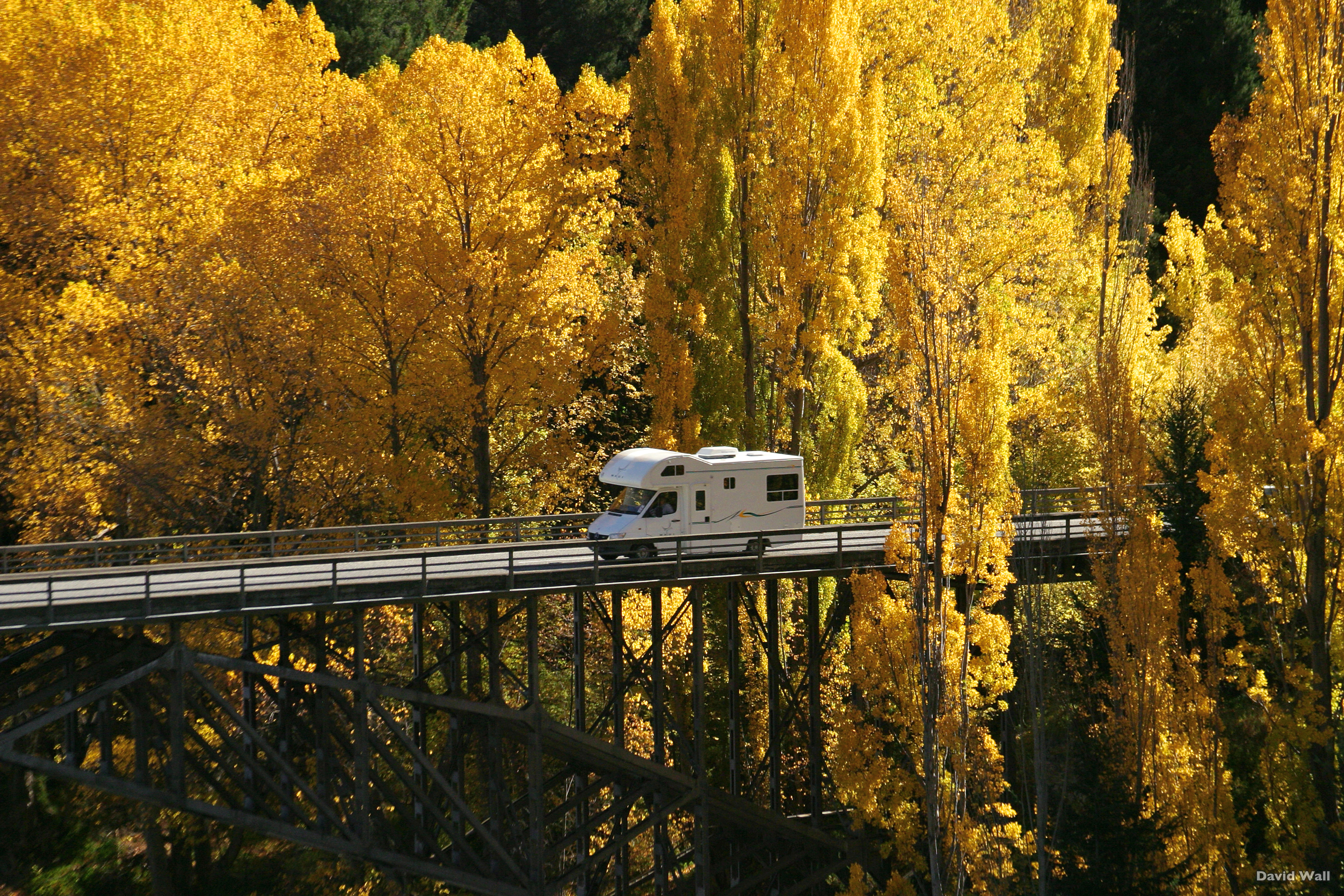 Autumn Colours, Victoria Bridge, Kawarau River, Kawarau Gorge, South Island, New Zealand